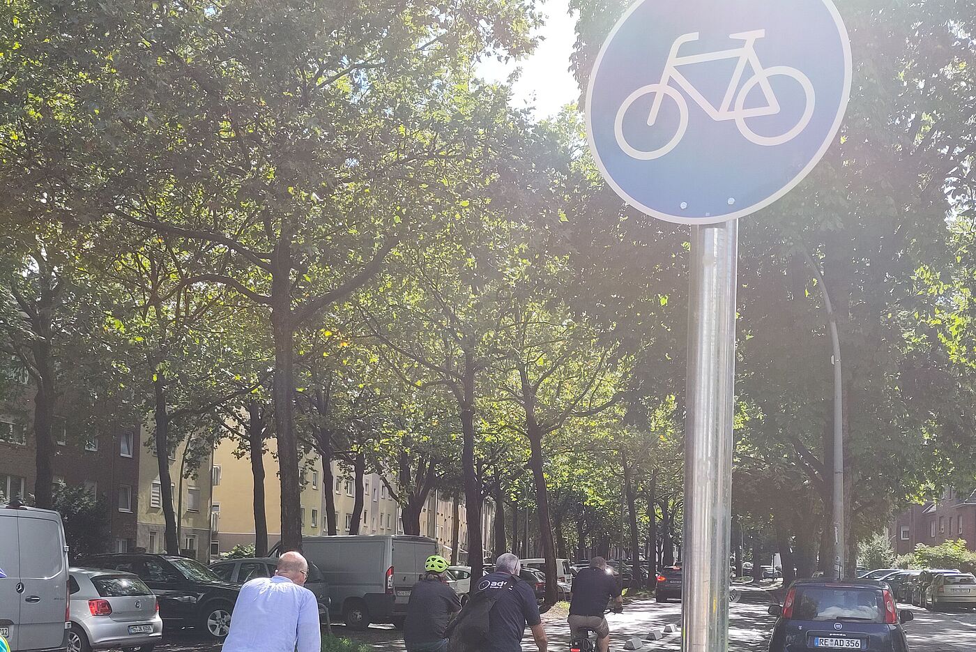 Protected-Bike-Lane