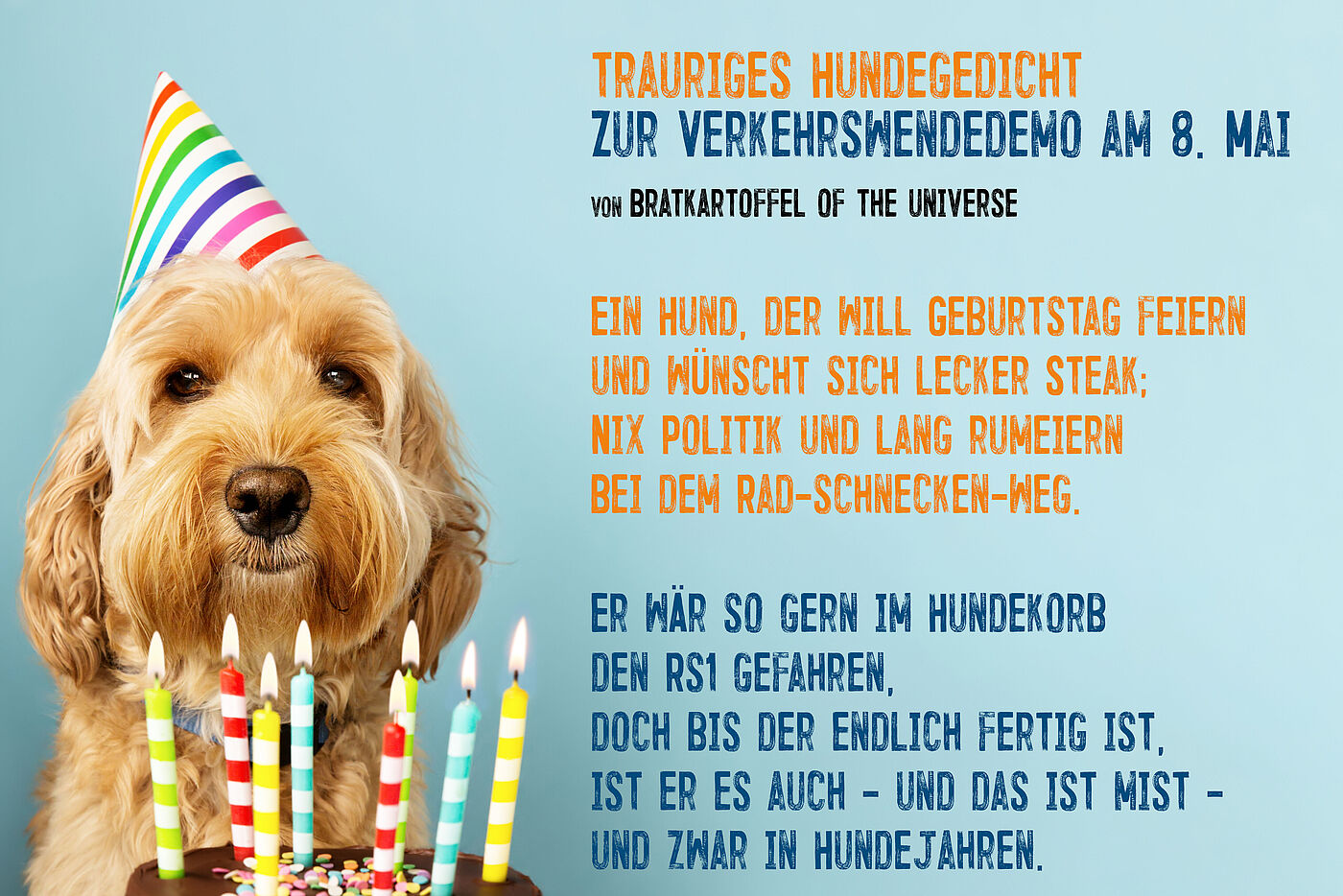 Funny dog with birthday cake Ein lustig guckender Hund sitzt vor einer Geburtstagstorte